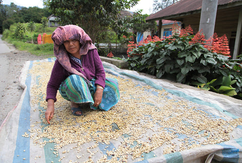Small farm holder drying parchment.