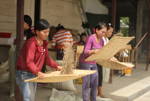 Husk is hand sorted at the Tiga Raja mill.